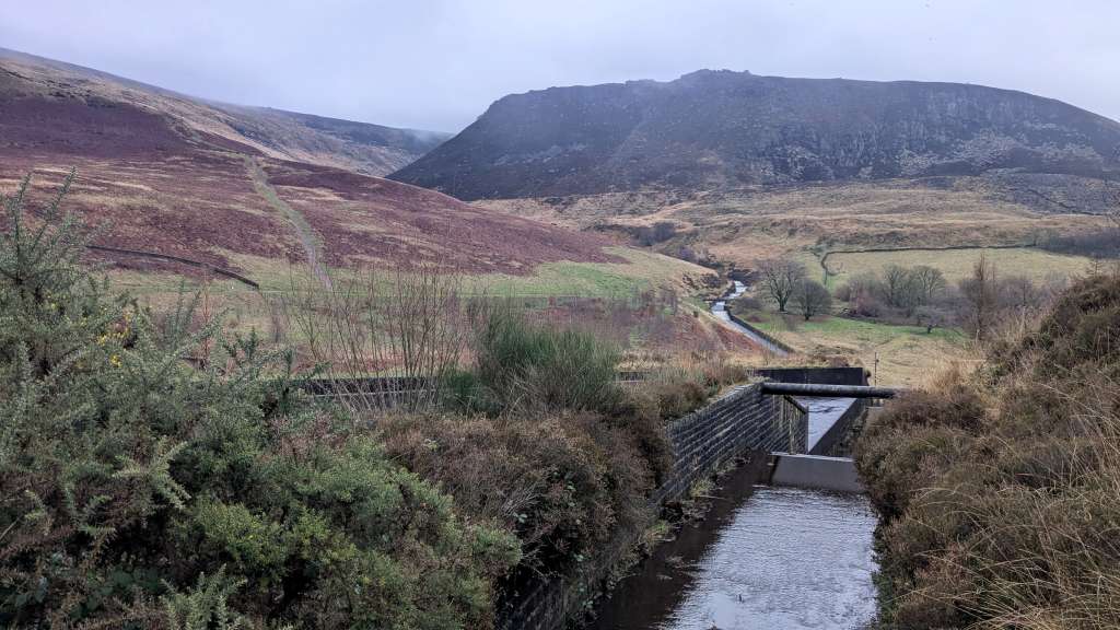 PXL_20241225_085013858