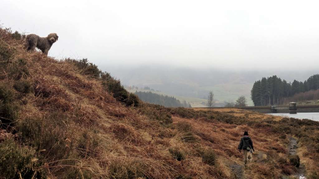 PXL_20241225_093323900