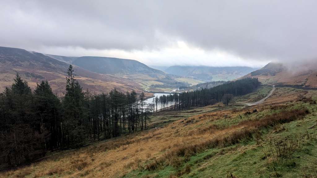 PXL_20241224_150354290