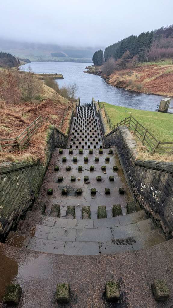 PXL_20241225_094338074