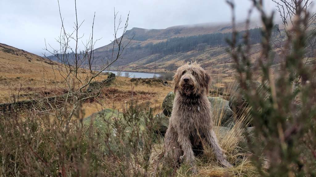 PXL_20241225_092247996