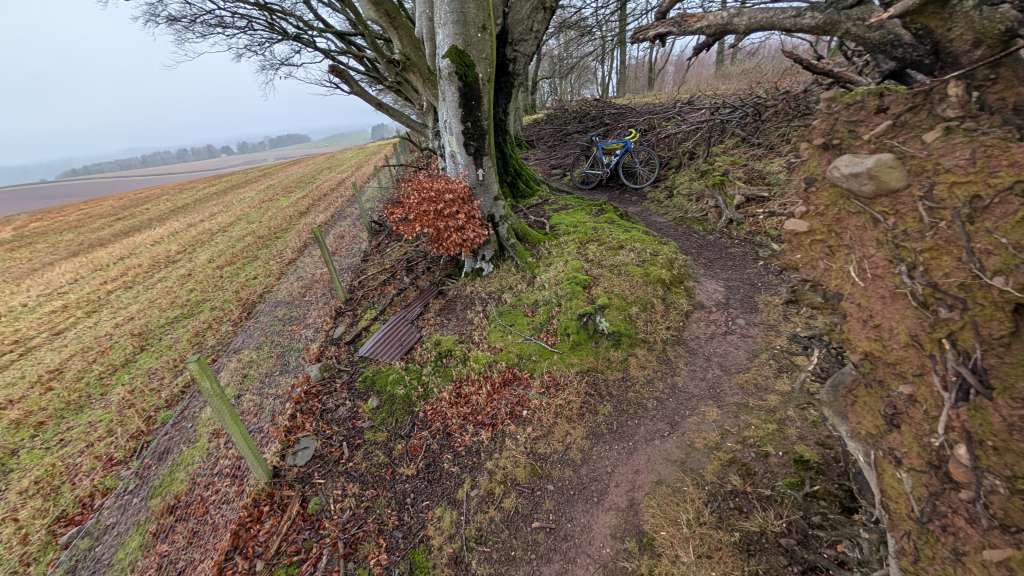 PXL_20241227_094657045