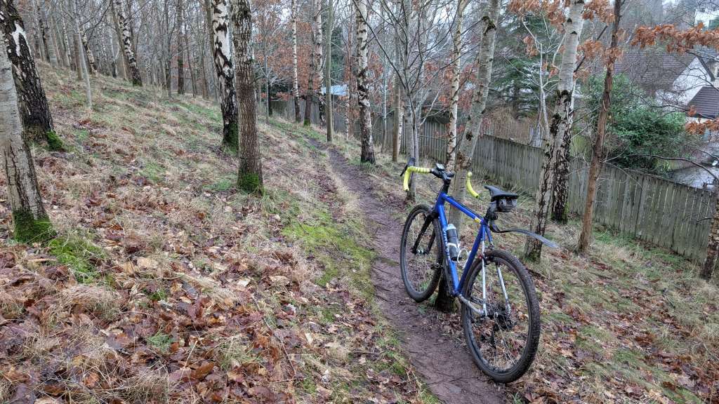 PXL_20241227_092618005