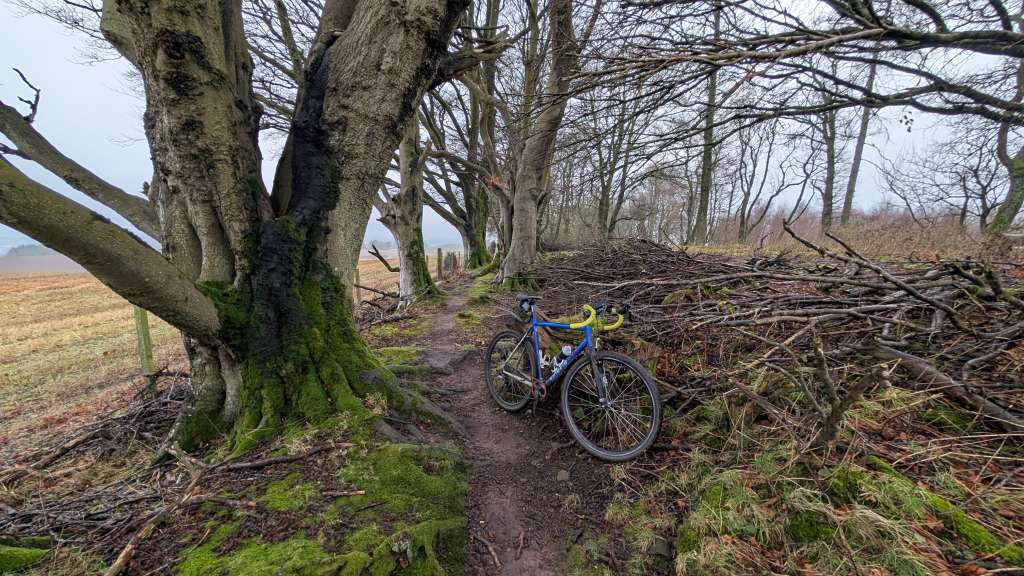 PXL_20241227_094628017