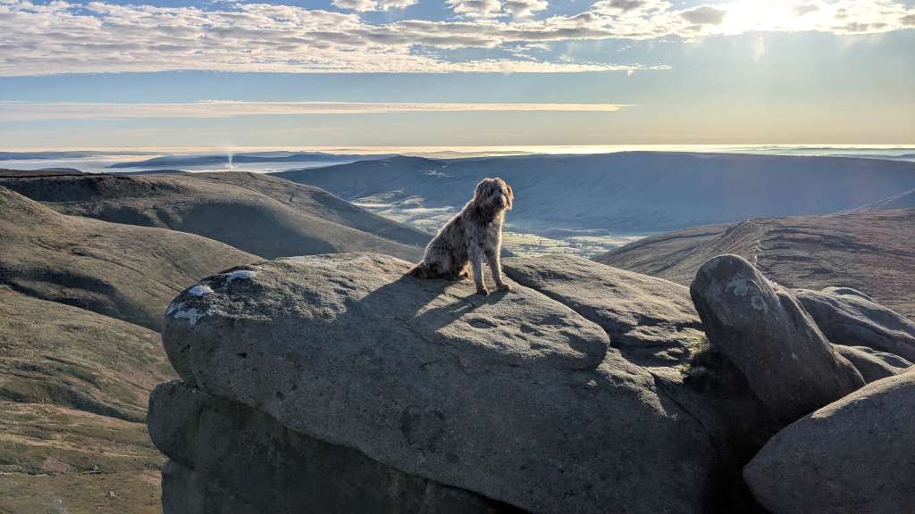 PXL_20241226_105802706