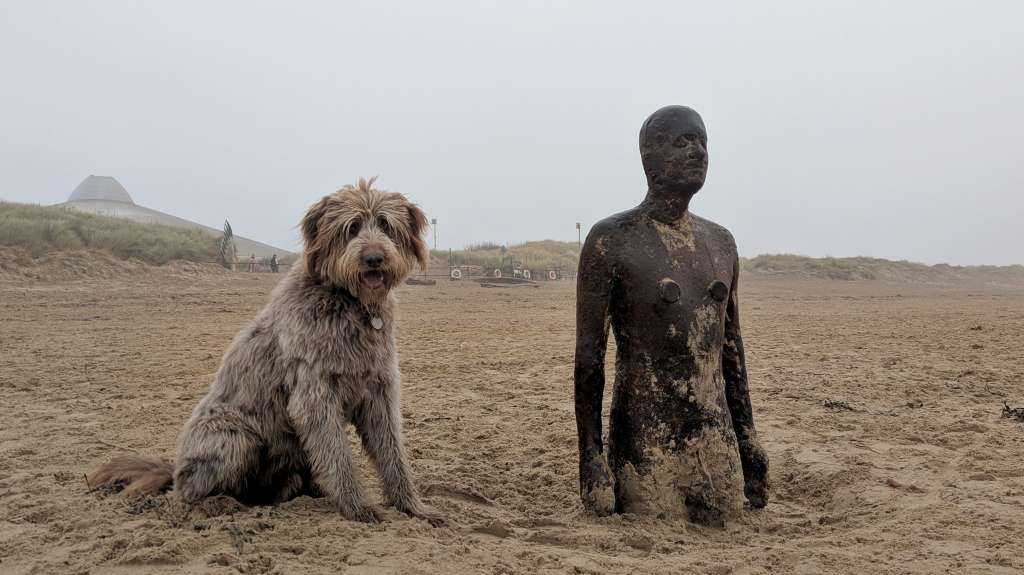 PXL_20241227_114050739