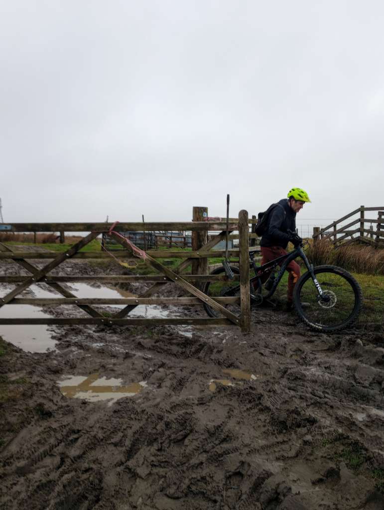 IMG_20241229_133107499~2