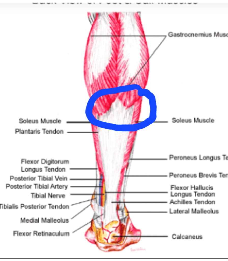 Screenshot_20250103_105743_Brave