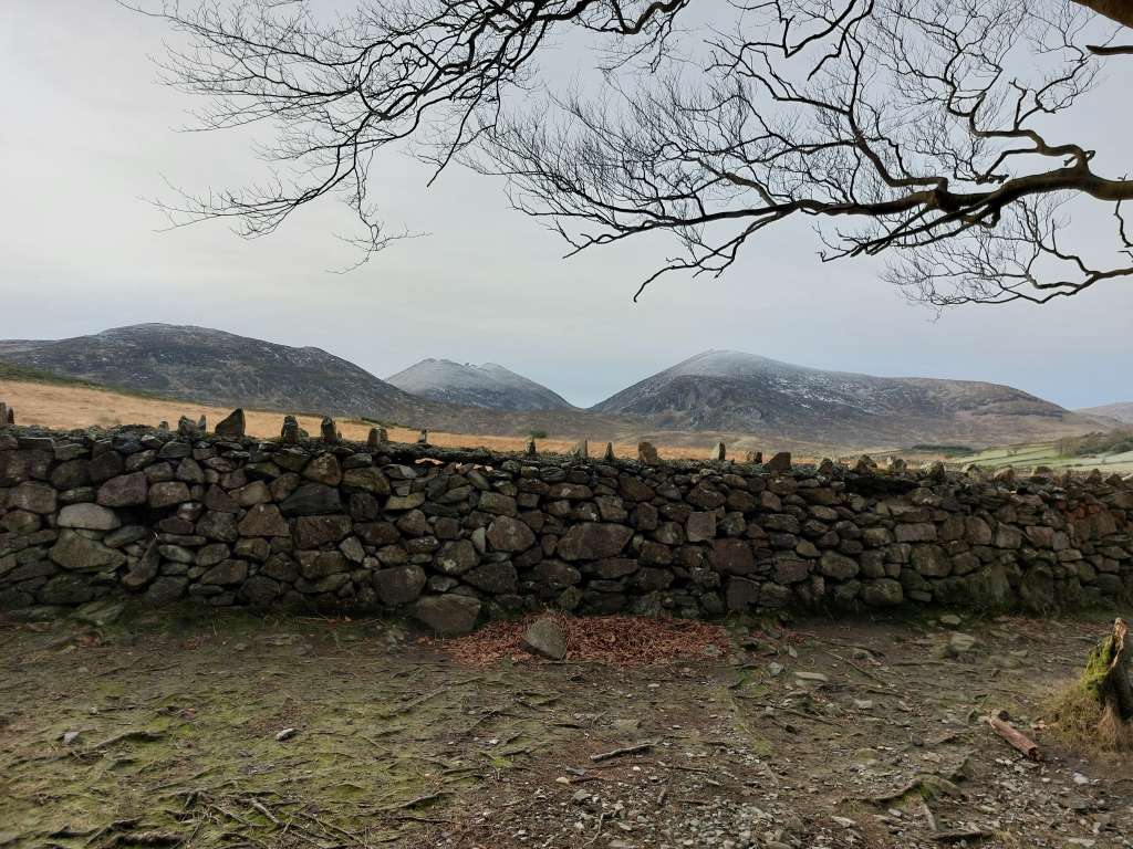 20250104_103212_Original