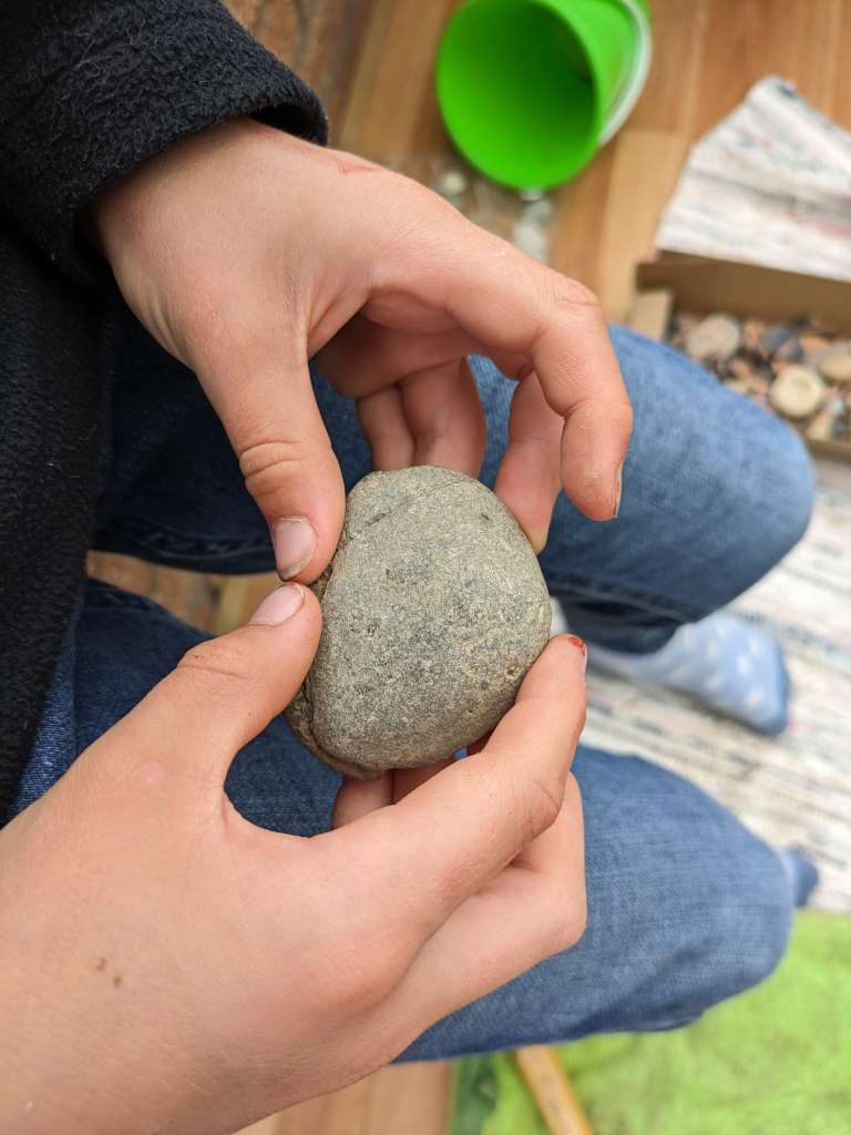 PXL_20240604_143029368.MP