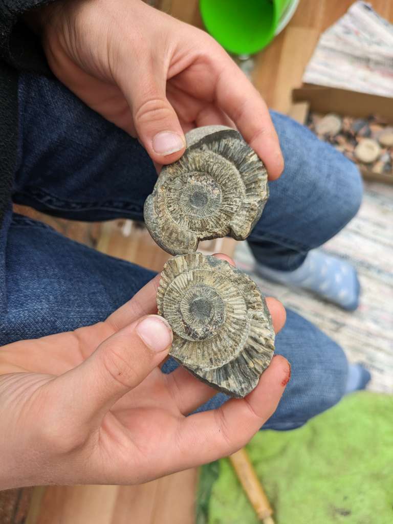 PXL_20240604_143036191.MP