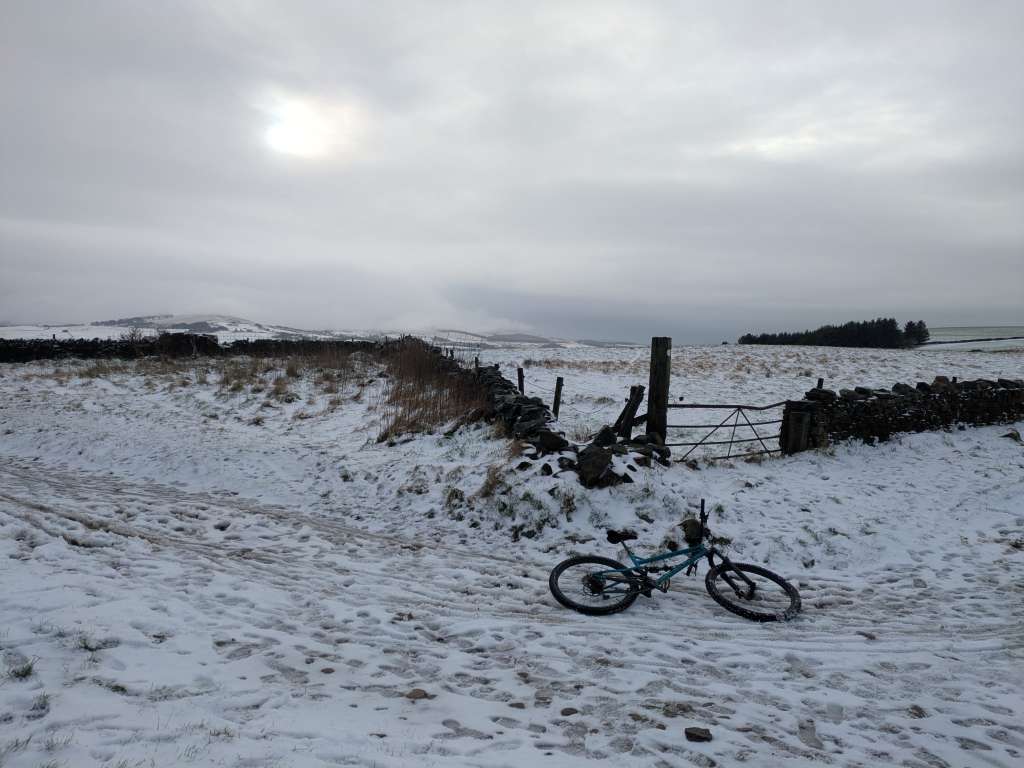 PXL_20250105_124737472.MP