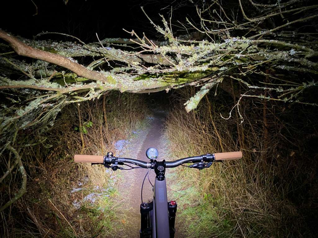 2025-01-07 McBoab Tuesday Gardening 00005