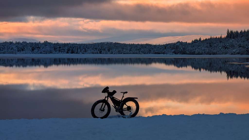 PXL_20250109_152025966~2