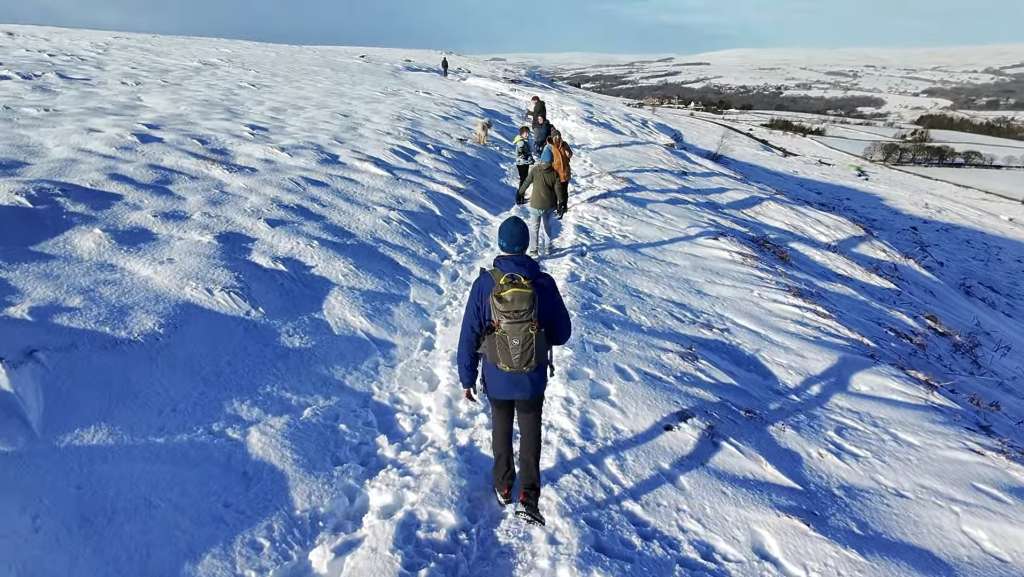 Screenshot_20250112_195556_Photos