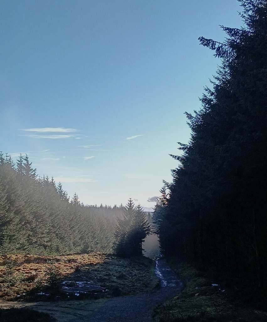 IMG20250115123519_BURST000_COVER~2