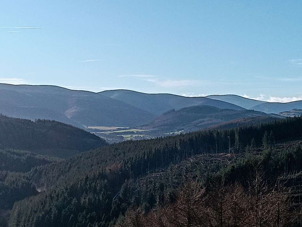 IMG20250115115310_BURST000_COVER~2