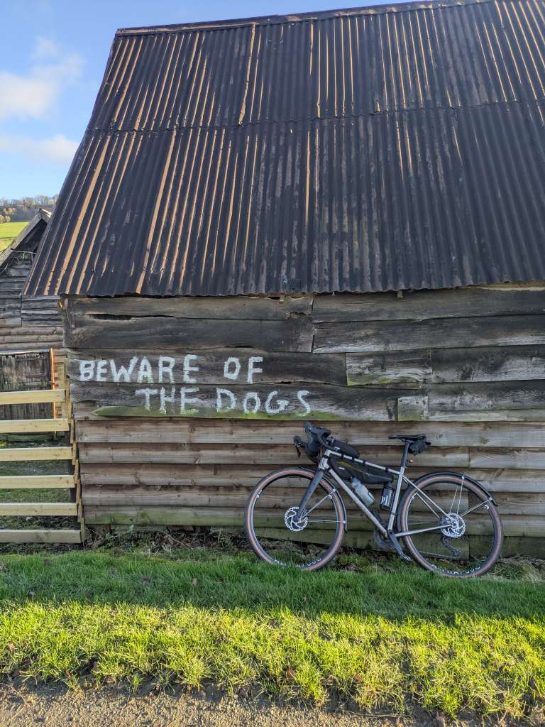 PXL_20241230_133854534