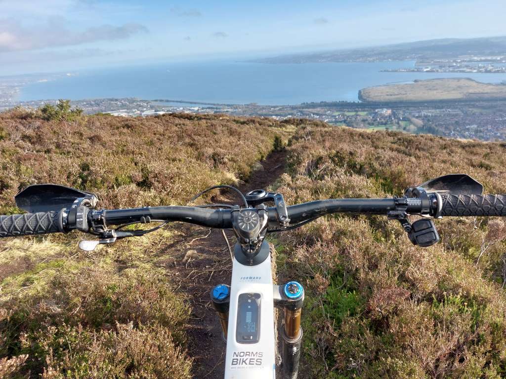 20250116_115645_Original