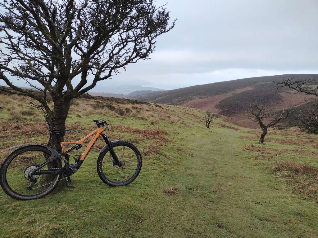 IMG_20250117_110333234