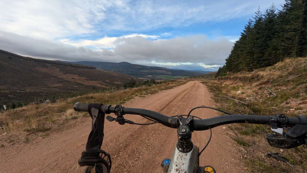 PXL_20250117_114723639