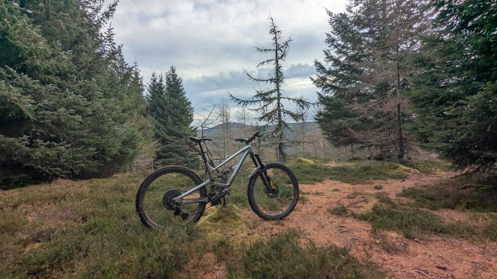 PXL_20250117_121719811