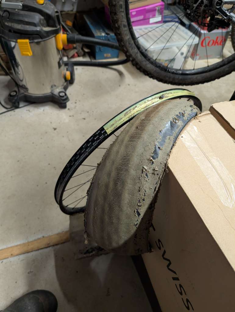 PXL_20250117_190352037