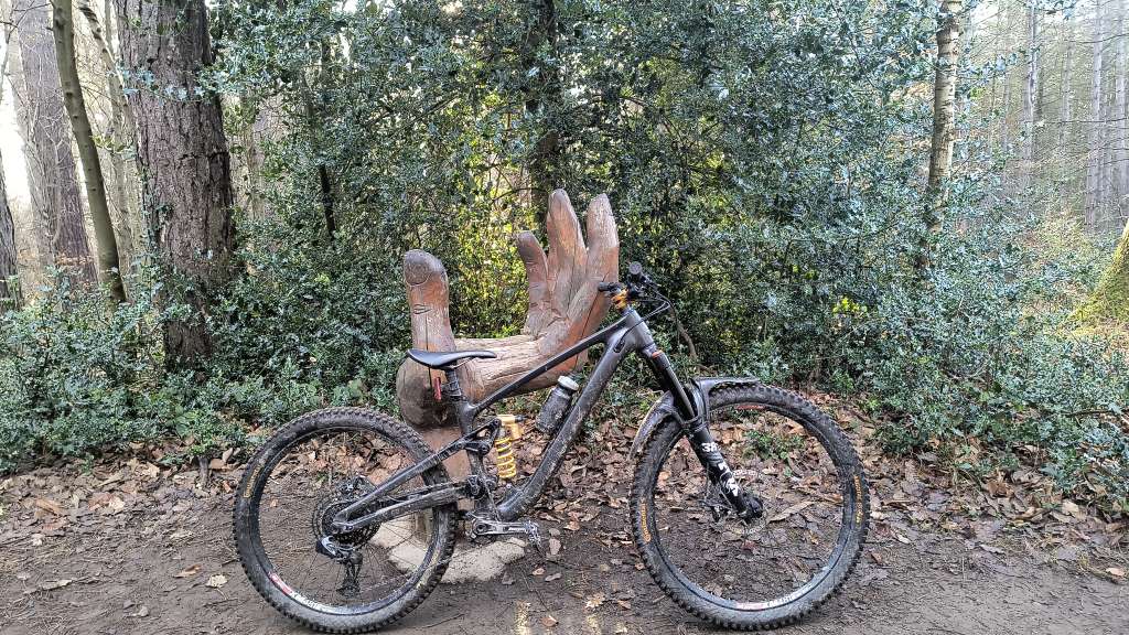 IMG_20250118_113158819