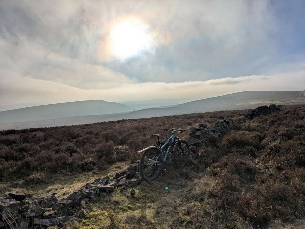 PXL_20250118_132808074