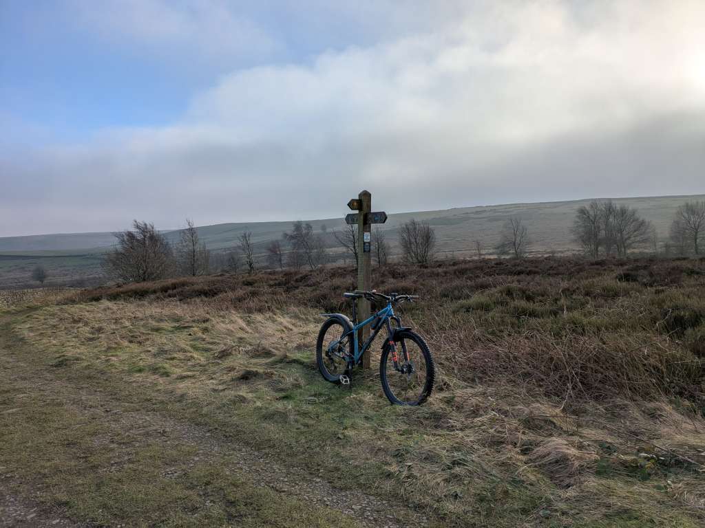 PXL_20250118_140826327