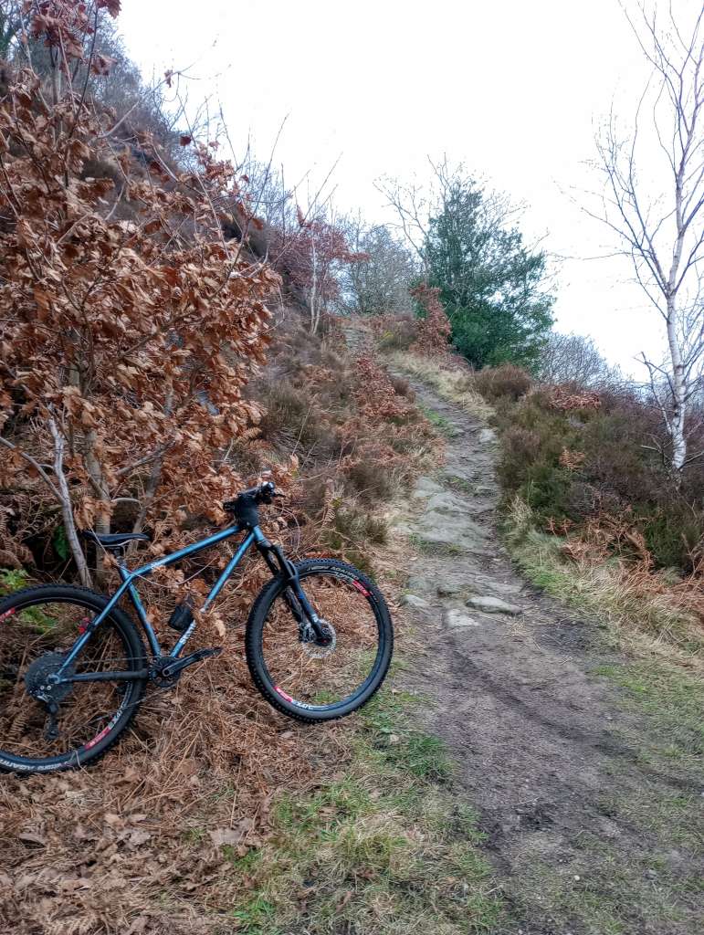 IMG_20250118_144525223~2