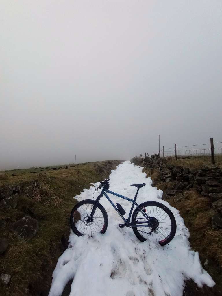 IMG_20250118_141714616~2