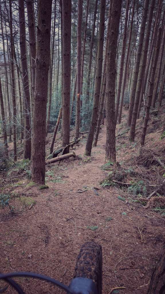 PXL_20250118_153033527.MP