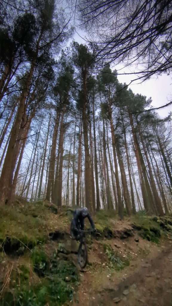 PXL_20250118_153939649.LS_exported_3272