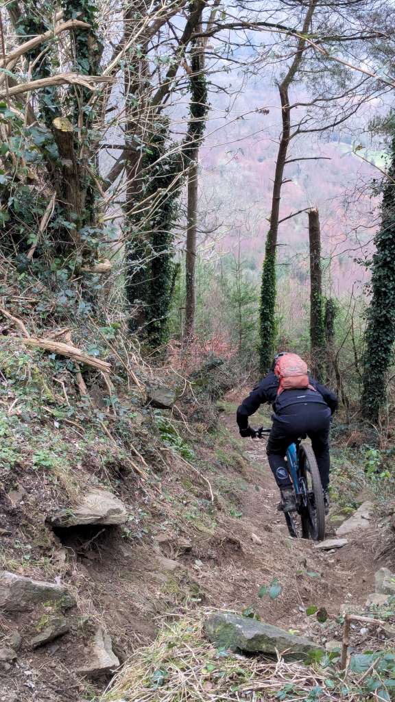 PXL_20250118_113218784