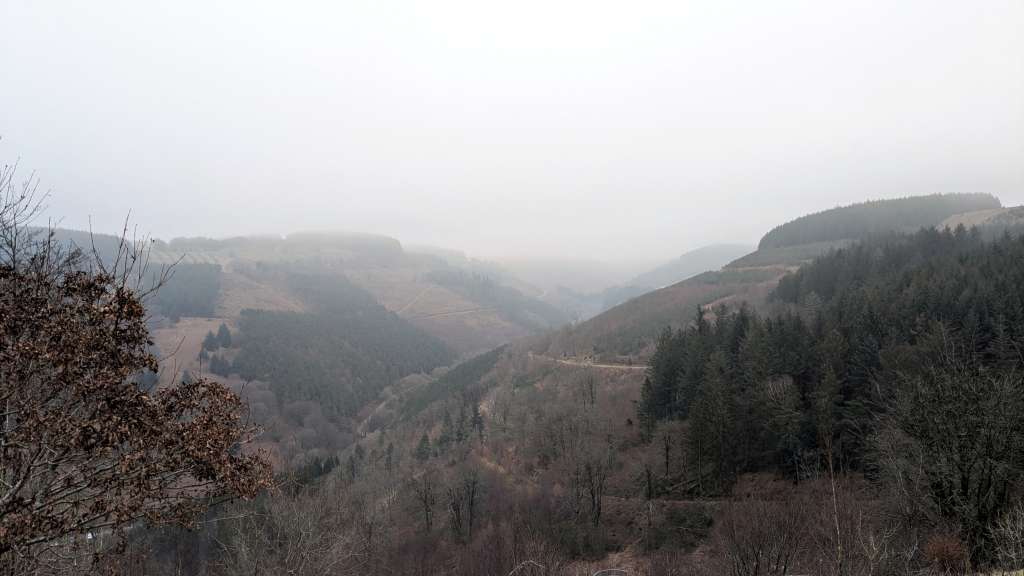 PXL_20250118_130326919