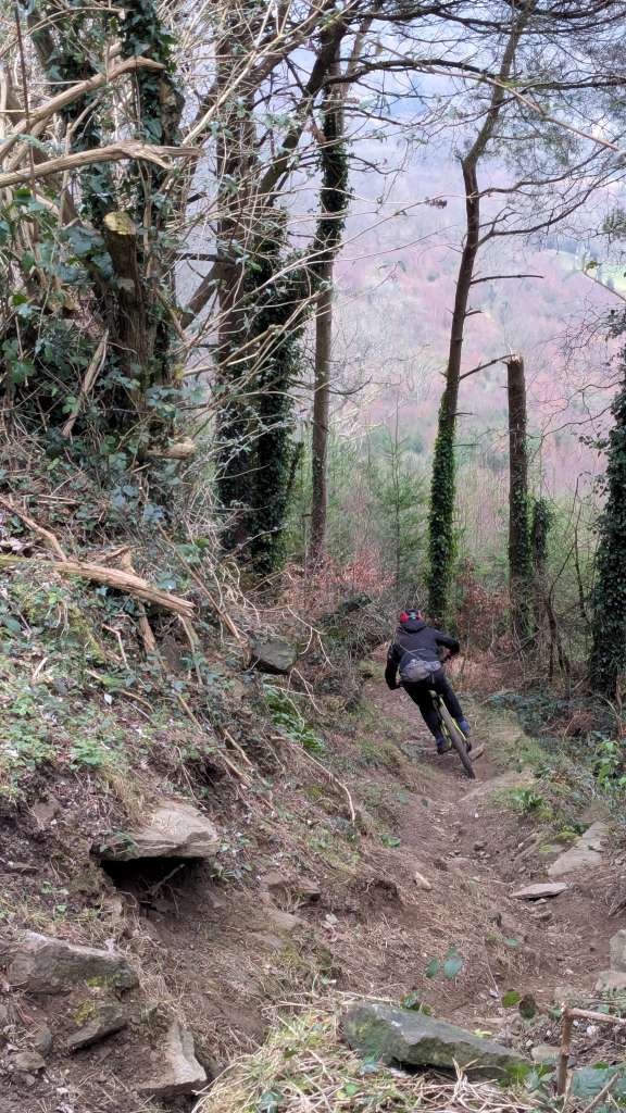 PXL_20250118_113216829