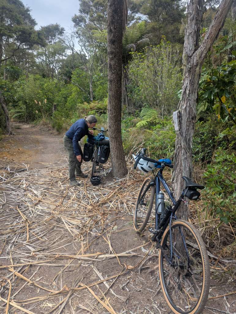 PXL_20250117_211950875