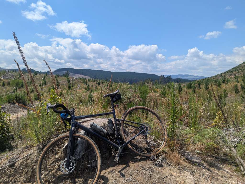 PXL_20250117_225904371