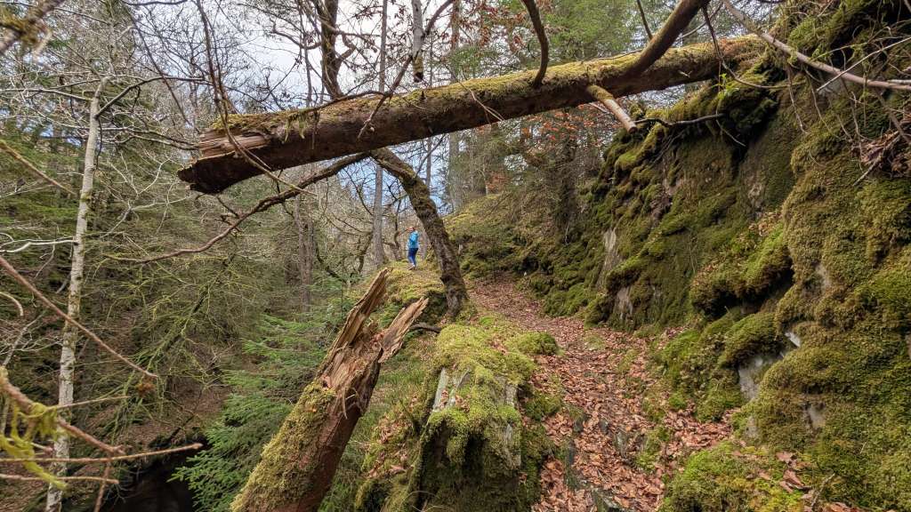 PXL_20250118_142702621