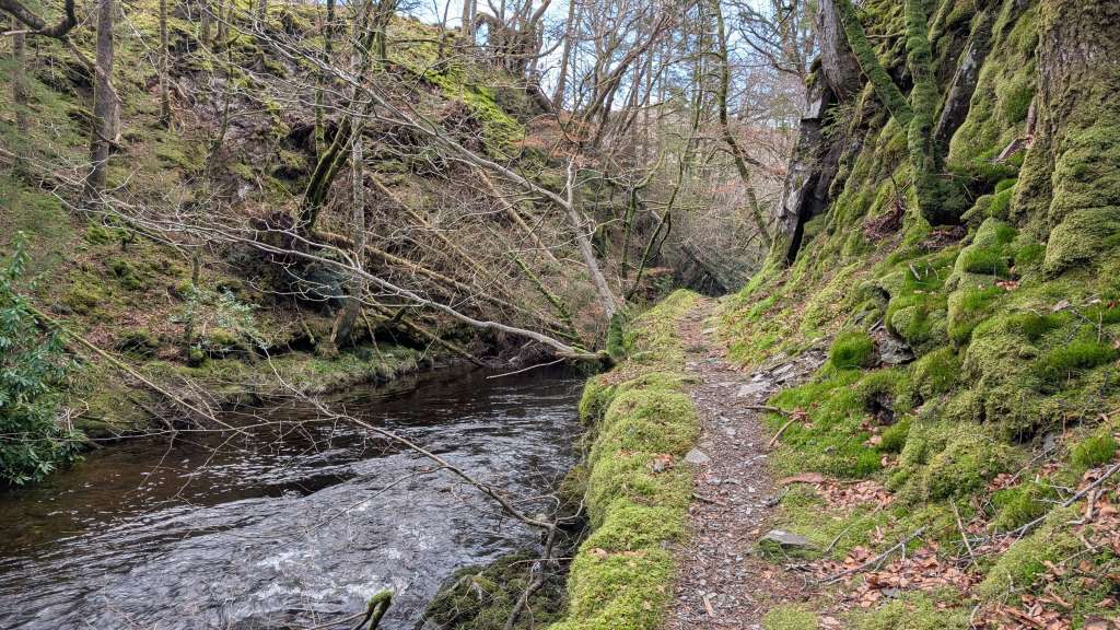 PXL_20250118_142013657