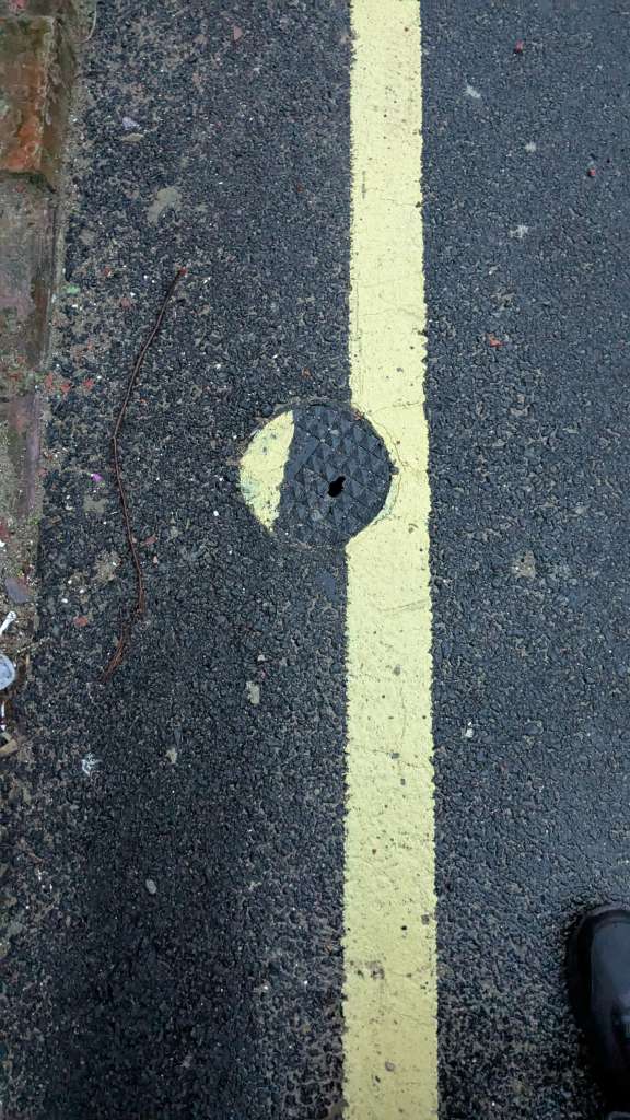 PXL_20250120_163156783.MP