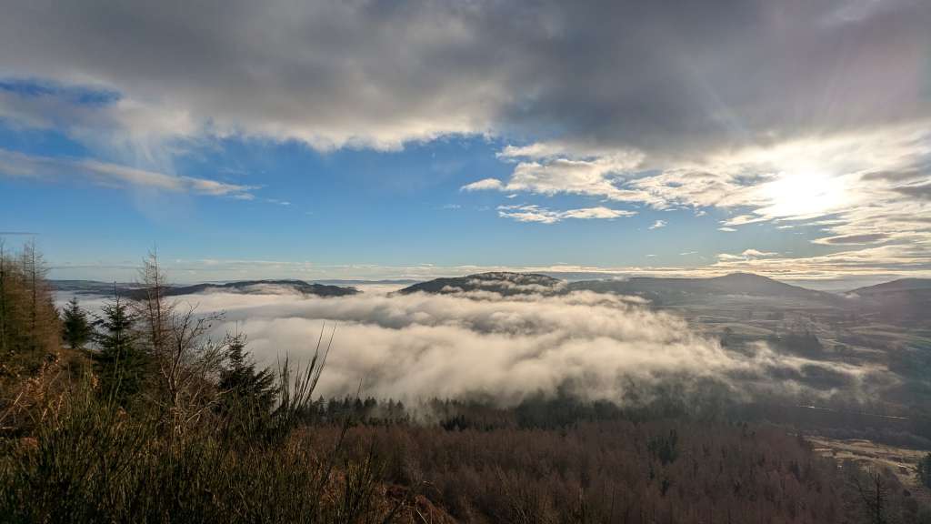 PXL_20250121_102604088