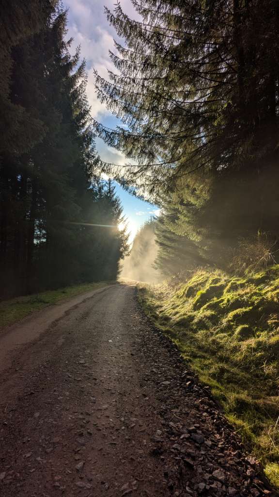 PXL_20250121_095708322