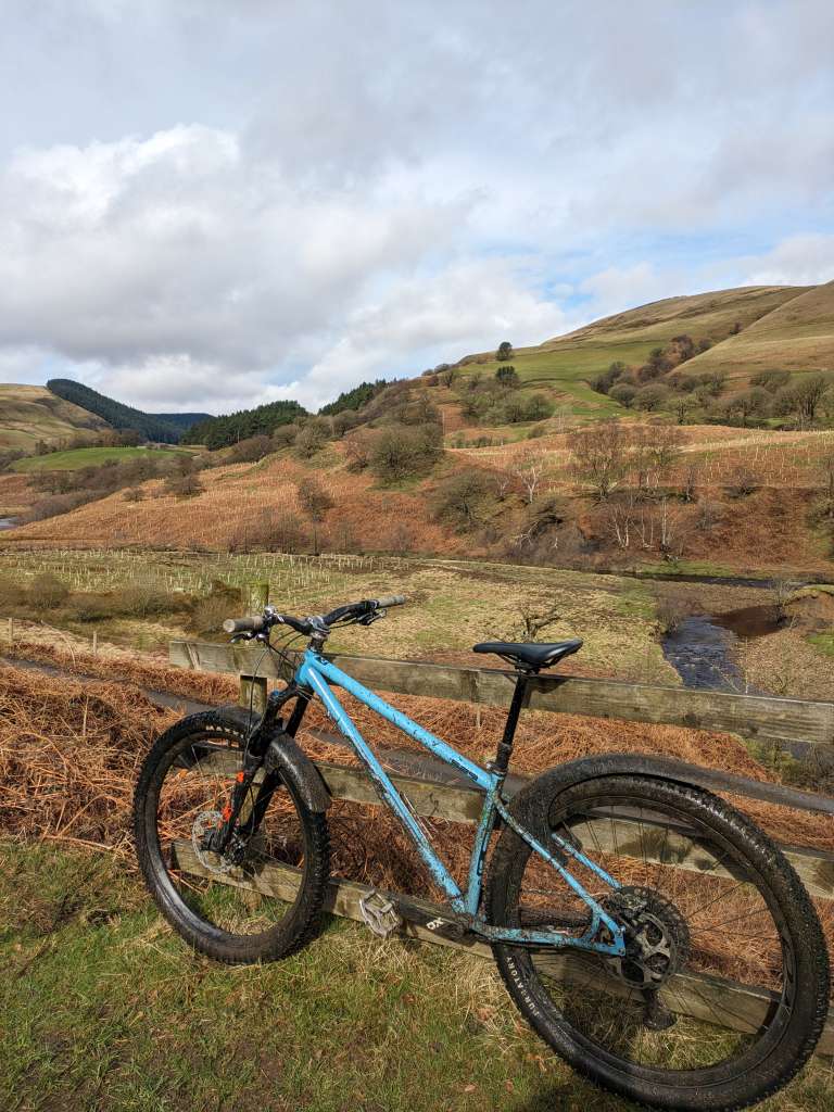 PXL_20240317_114016419