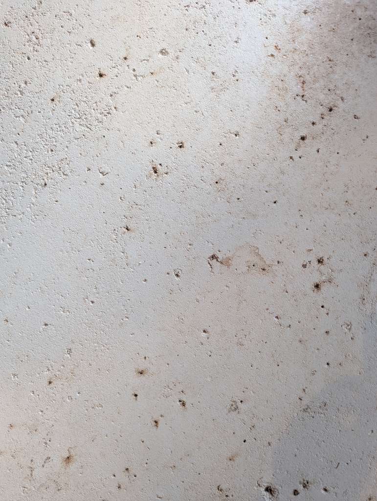 PXL_20250123_095921996