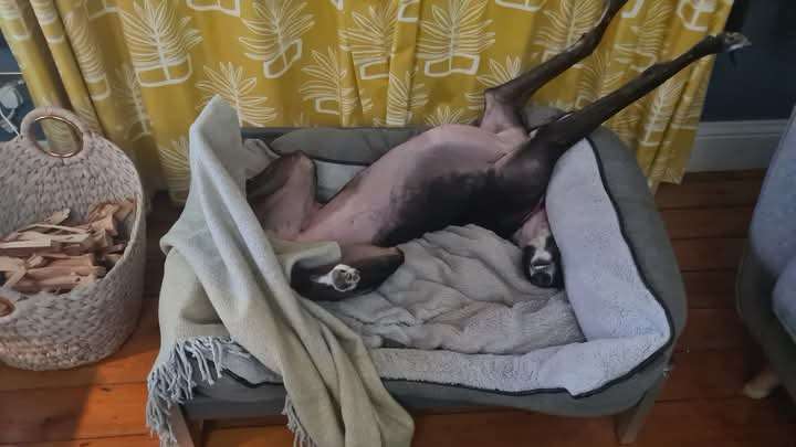 FB_IMG_1737888211071