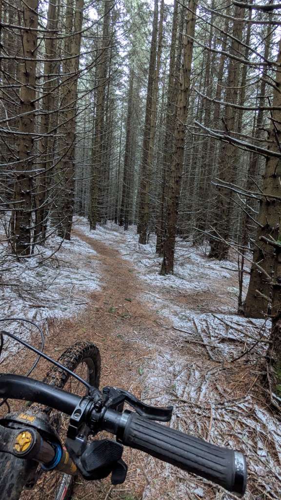 PXL_20250126_114003071