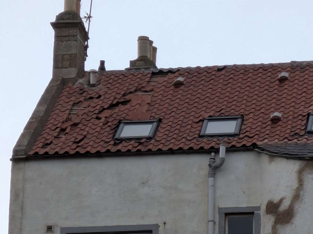 PXL_20250124_161912056