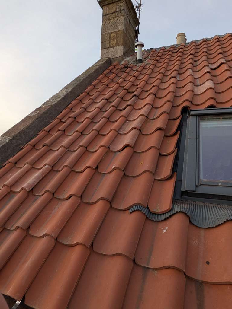 PXL_20250126_133528629